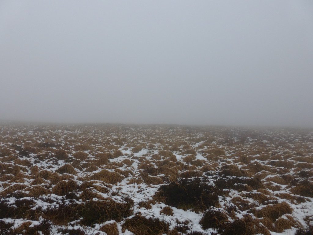 Walking on a bearing