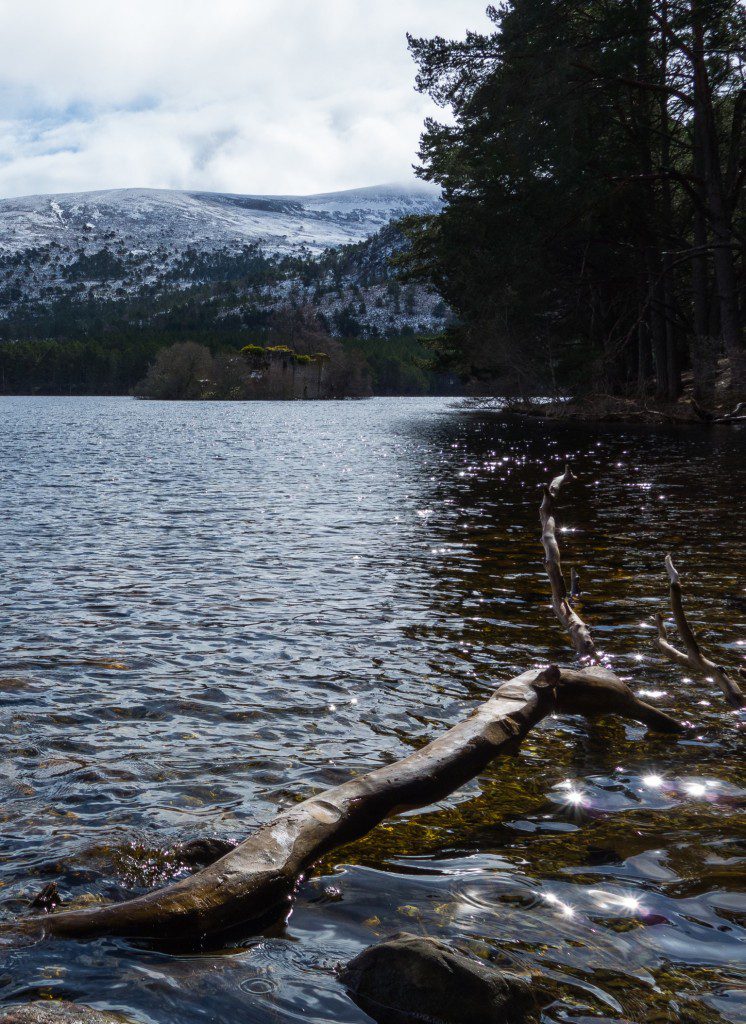 I wish I had some way to get out and visit that ruined castle...