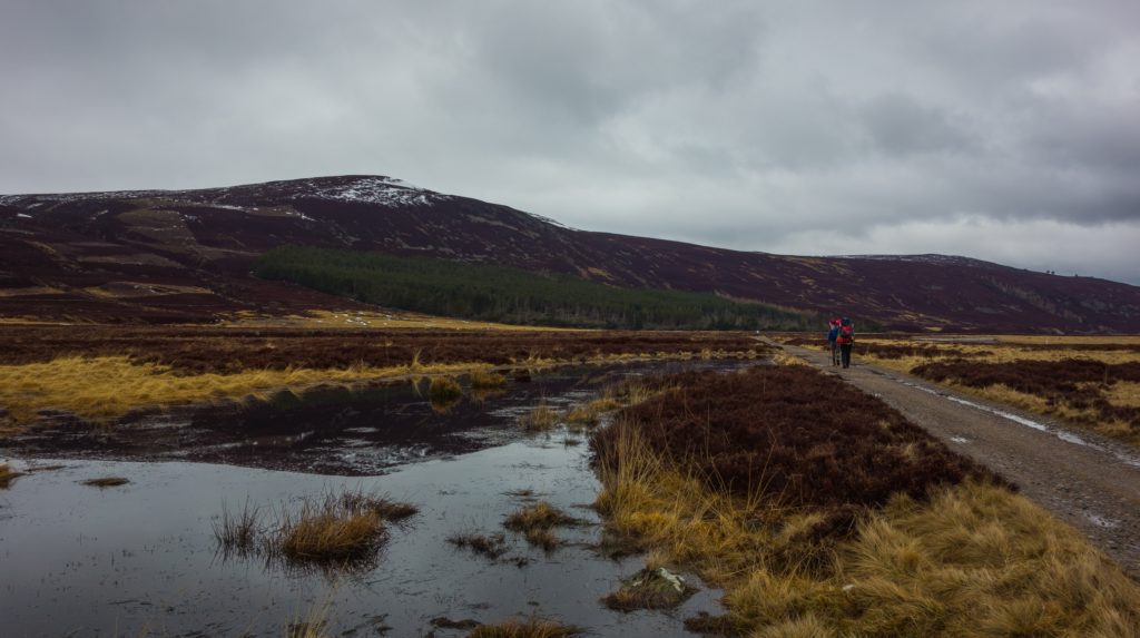 Good surface and mostly downhill. Waiting for the river to get bigger